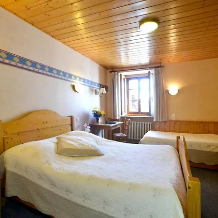 Les Bruyeres - Hotel 2*