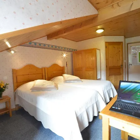 Hotel Les Bruyeres - 2*